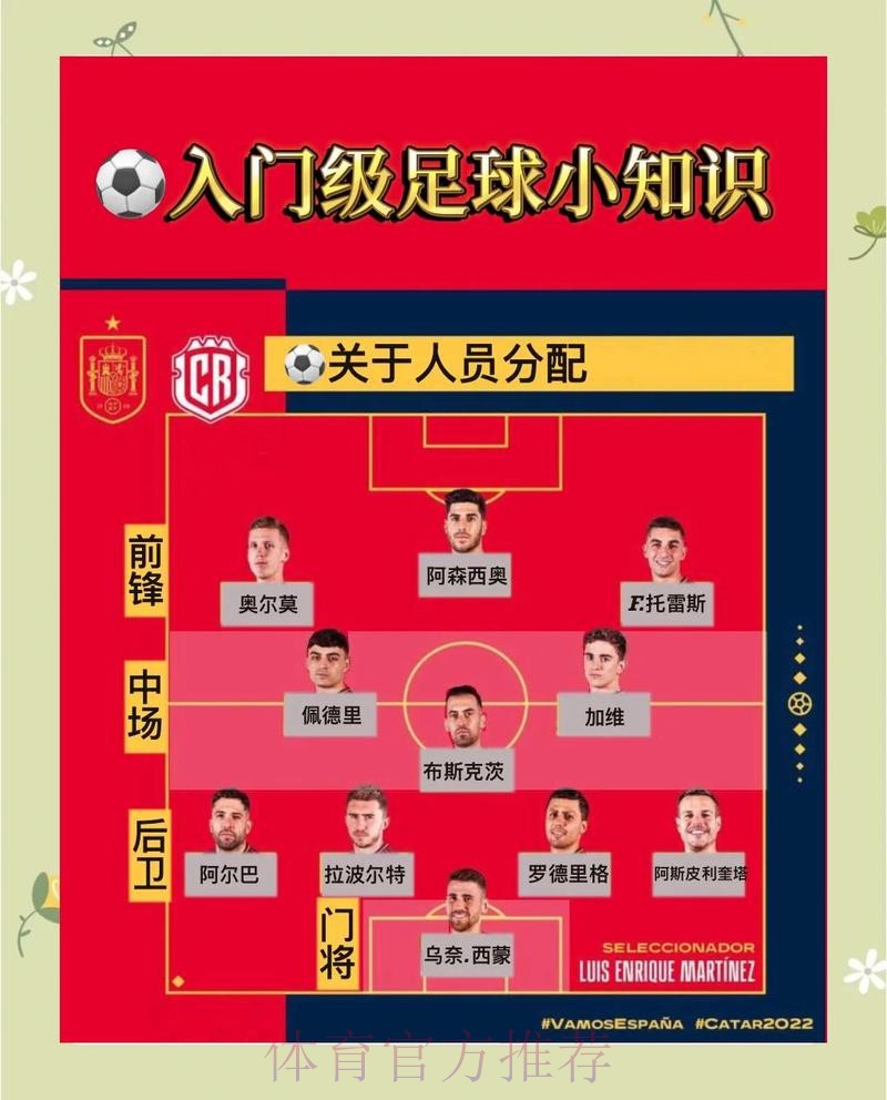 世界杯盘口最新解读与实用攻略